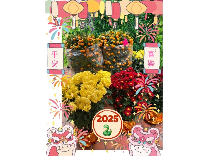 meitu_20250124_162909187
